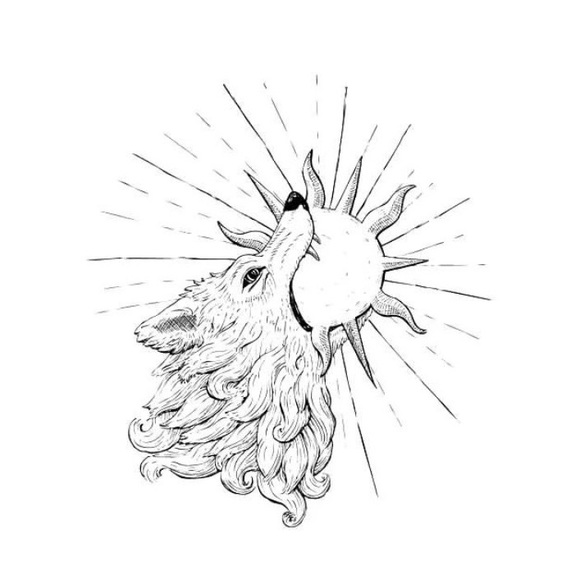 Meet your Posher, Aidan - Picture 1 of 1